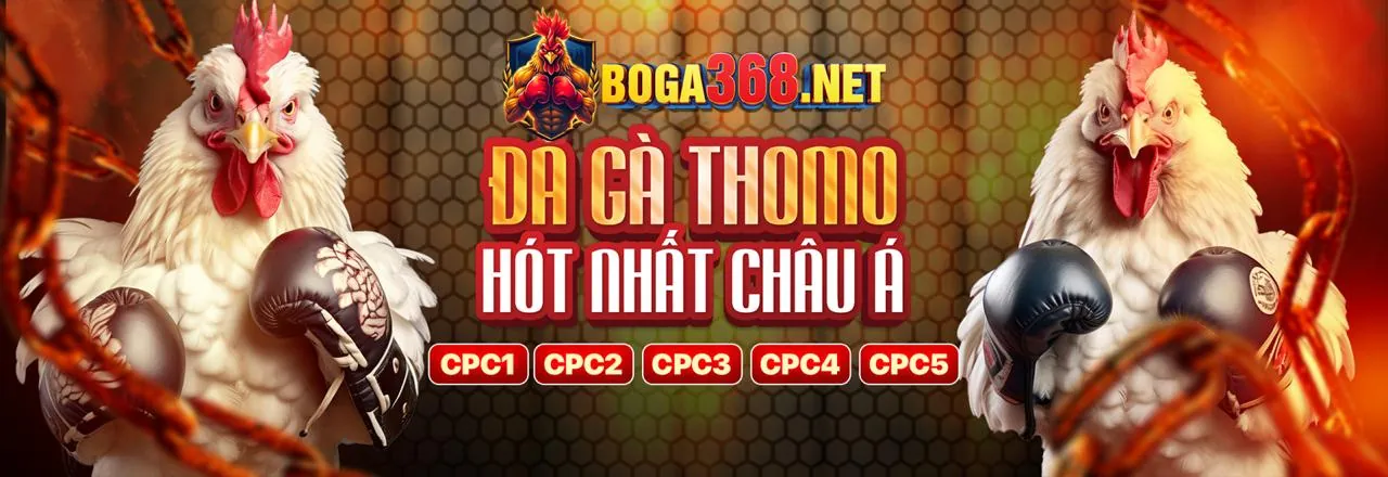 Đội ngũ hỗ trợ khách hàng SHBET 24/7