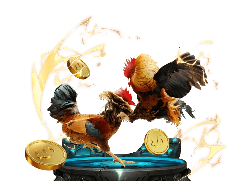 Hình ảnh minh họa những lầm tưởng và sự thật về cờ bạc